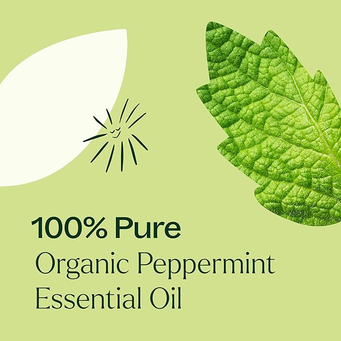 Plant Therapy Organic Peppermint Essential Oil 100% Pure, USDA Certified Organic, Undiluted, Natural Aromatherapy, for Diffuser, Skin, Hair, Therapeutic Grade 10 mL (1/3 oz) - Bloomnest