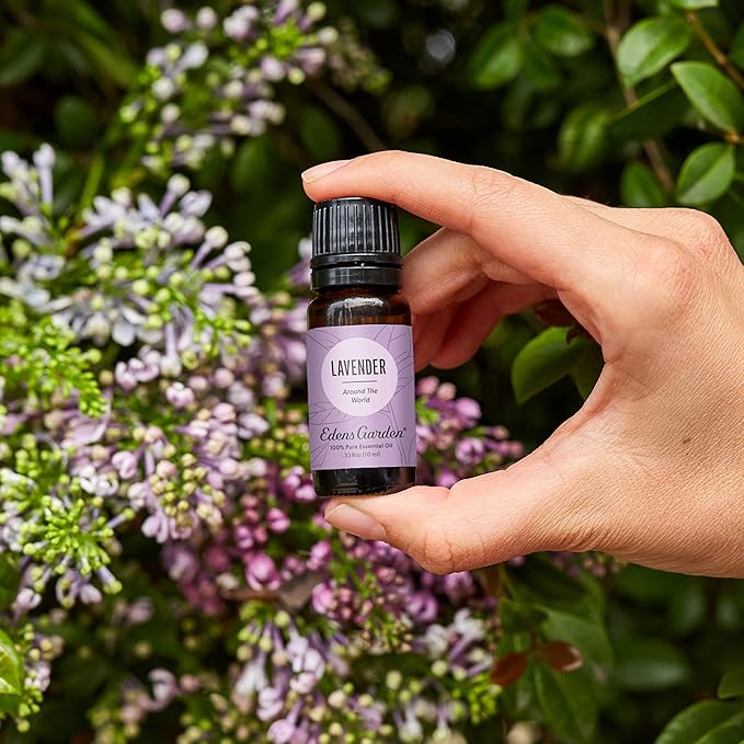 Edens Garden Lavender Around The World Essential Oil- 100% Pure Premium Grade, Undiluted, Natural, Therapeutic, Aromatherapy, The Best for Diffuser, Skin, Face, Candle 10 ml (.33 fl oz) EdensGarden