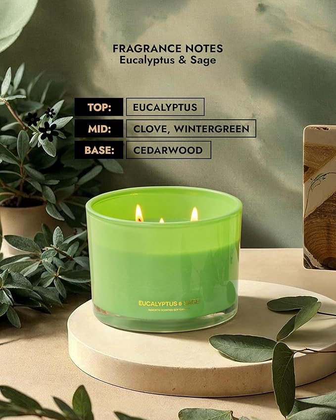 96NORTH Luxury Eucalyptus & Sage Soy Candle | Large 3 Wick Jar Candle | Up to 50 Hours Burning Time | 100% Natural Soy Wax | Housewarming Gift for Men and Women - Bloomnest