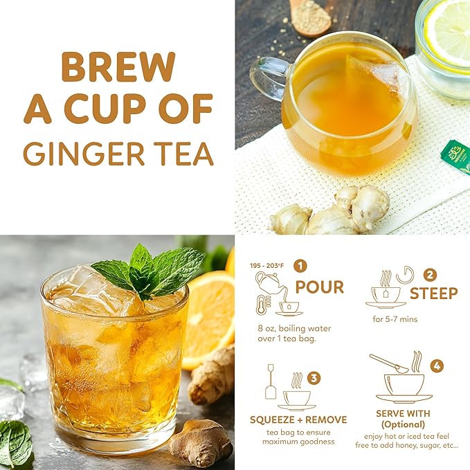 Indochine Blends Ginger Tea Bags | 100% Pure Ginger Root | Sugar-Free, Caffeine-Free Herbal Tea | Double Chamber, Individually Wrapped Bags| Rich in Natural Goodness and Flavor | 3.5 oz | 50 Tea Bags - Bloomnest