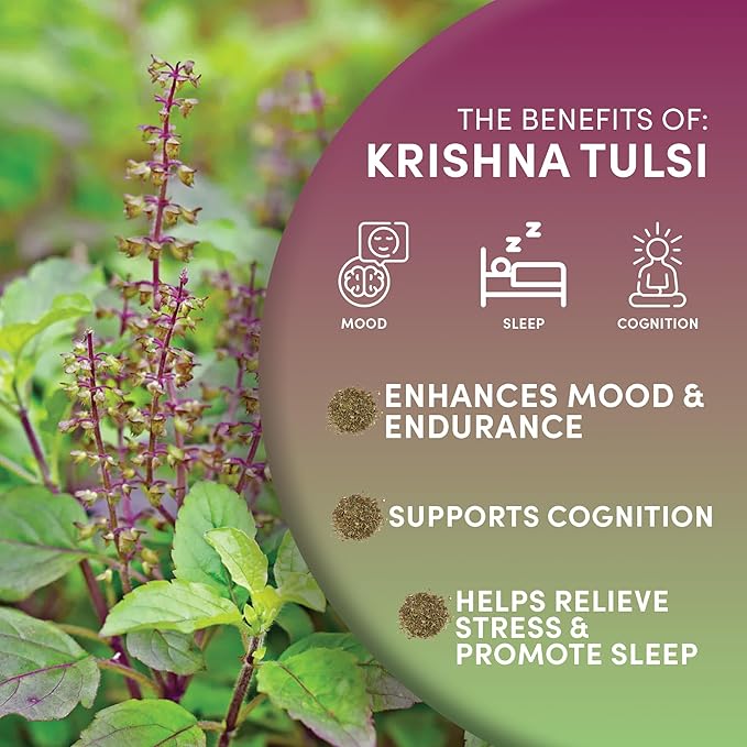 Worldwide Botanicals Organic Holy Basil Tea, 8oz - Tulsi Krishna - Loose Leaf Premium Herbal Tea, 100% Pure Tulsi Holy Basil, Fair Trade, Adaptogenic, Kosher - Bloomnest
