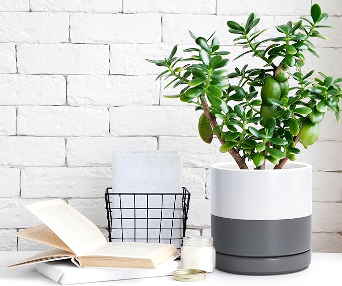 D'vine Dev 4.7 Inch & 6.5 Inch Ceramic Planter Pots for Plants with Drainage Hole and Saucer, Small Plant Pots Set, White/Speckled Grey, 94-G-S-6 - Bloomnest