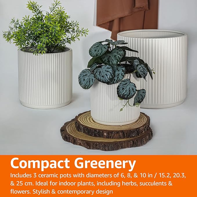 Amazon Basics Assorted Sizes Fluted Ceramic Round Indoor Outdoor Planters with Drainage, Set of 3, Modern Design, 6 inch, 8 inch, 10 inch, White - Bloomnest