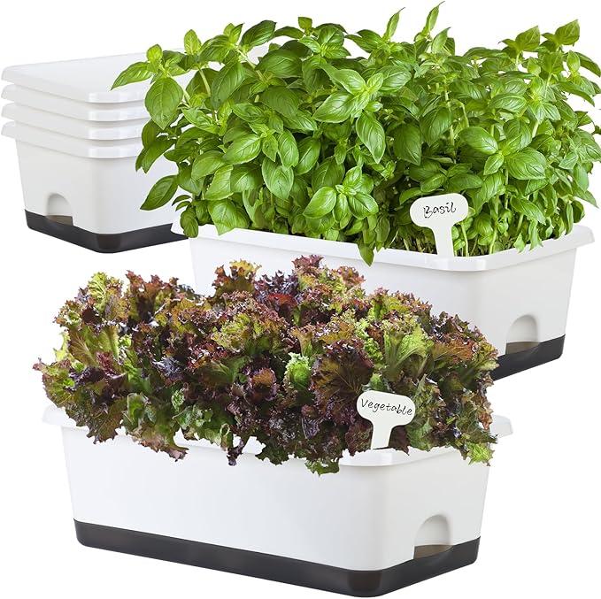 Window Box Planter 6 Pcs, 18 Inches Rectangle Flower Pots with Drainage Holes and Trays, Vegetable Planters for Windowsill Patio Garden Balcony Home Porch Yard Indoor Outdoor (White, 18*10*6 inch) - Bloomnest