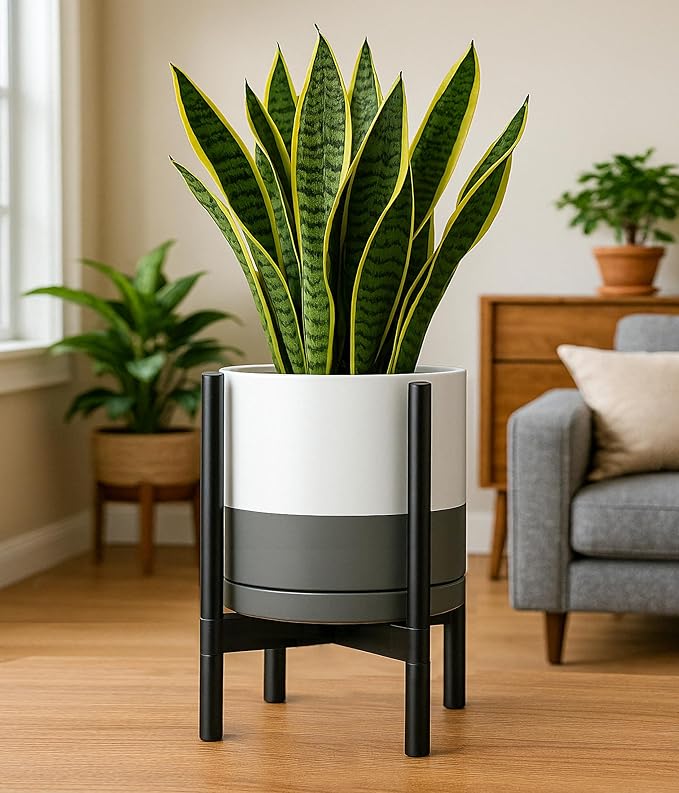 D'vine Dev Ceramic Planter with Ebony Stand - 12 Inch Modern Round Flower Pot with Wood Planter Holder, White/Grey, 55-B-H-6 - Bloomnest