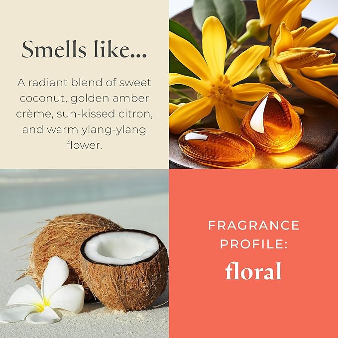 PartyLite Coastal Amber & Shea Scented, Notes of Ylang Flower, Citron, Sweet Coconut & Amber Creme, 13.2oz 3-Wick Jar Candle, 45 Hour Burn Time, Luxurious Fragrance, Ideal for Gifting - Bloomnest