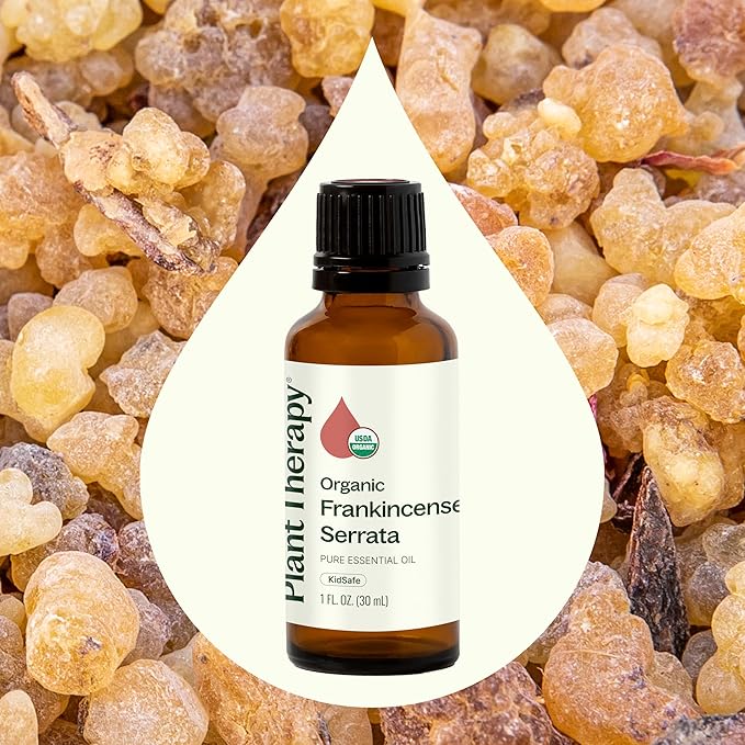 Plant Therapy Organic Frankincense Serrata Essential Oil 100% Pure, USDA Certified Organic, Undiluted, Natural Aromatherapy, Therapeutic Grade 30 mL (1 oz) - Bloomnest