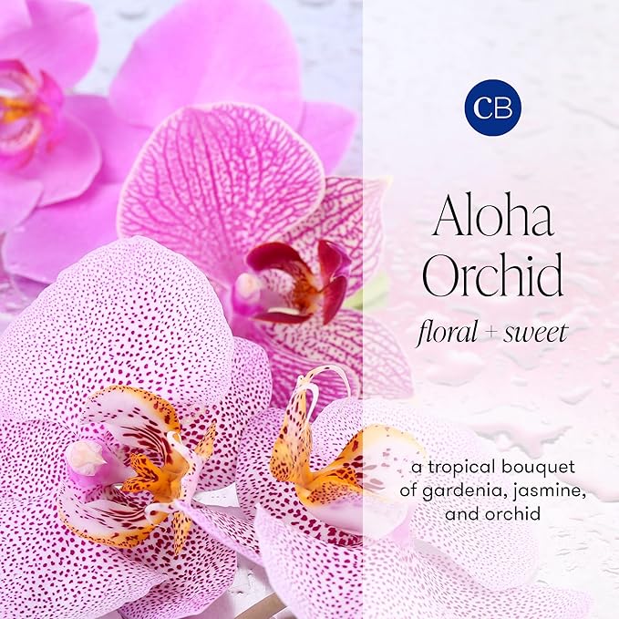 Capri Blue Aloha Orchid Reed Diffuser Set - Includes Reed Diffuser Sticks, Fragrance Oil, and Glass Bottle - Luxury Scented Room Fresheners - Cobalt Blue (8 fl oz) - Bloomnest