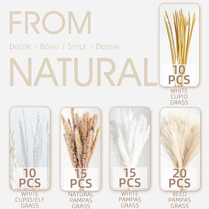 70PCS Natural Dried Pampas Grass Boho Home Decor Bouquet Phragmites Dried Flowers Bouquet for Wedding Floral Arrangements Home Decorations (70PCS) - Bloomnest