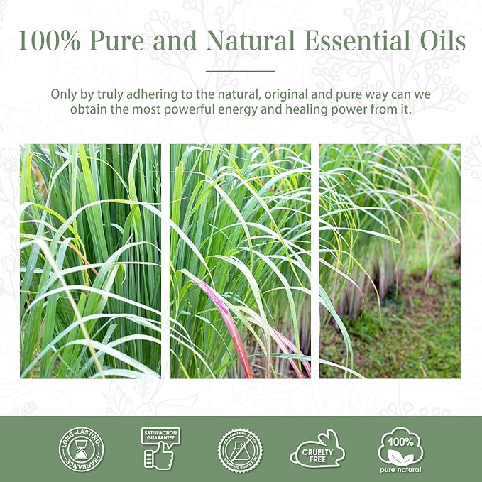 Lemongrass Essential Oil 1.01fl.oz/30ml, PHATOIL Lemongrass Oils Long Lasting Scents for Aromatherapy, Diffuser, DIY Soap and Candle Making PHATOIL