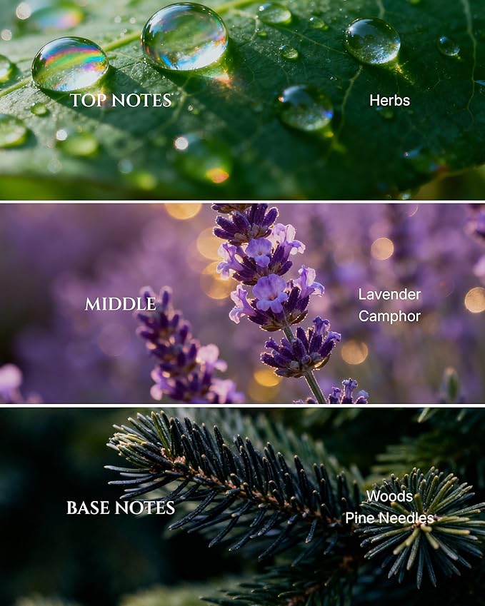AROMADD Dream Diffuser Oil Inspired by Luxury Hotel Scent 3.38 Fl Oz (100ml), Aroma Diffuser & Hotel Fragrance Diffuser Oil, Essential Oil Diffuser for Aromatherapy, Long-Lasting - Bloomnest