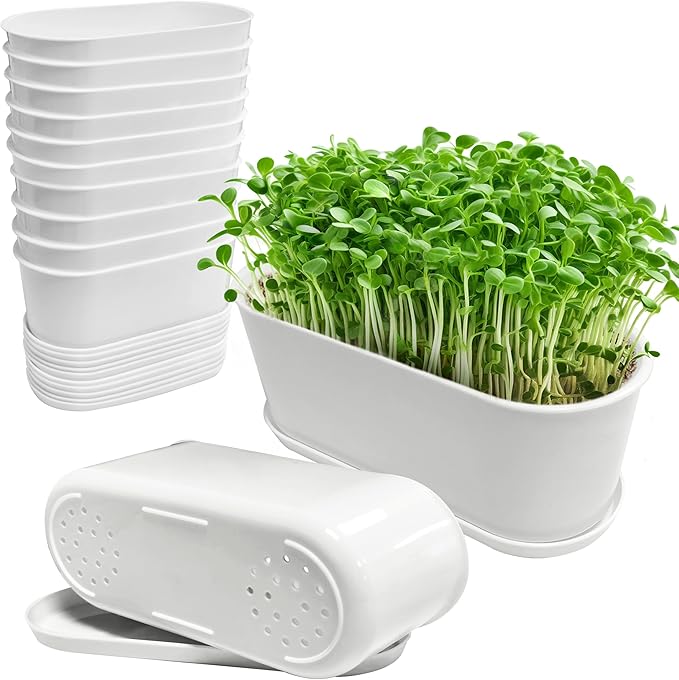 Window Box Planter with Saucers,10 Sets Rectangular Planter with Multiple Drainage Holes and Trays Plant Pots, for Succulent Cactus Flowers Vegetable - Bloomnest