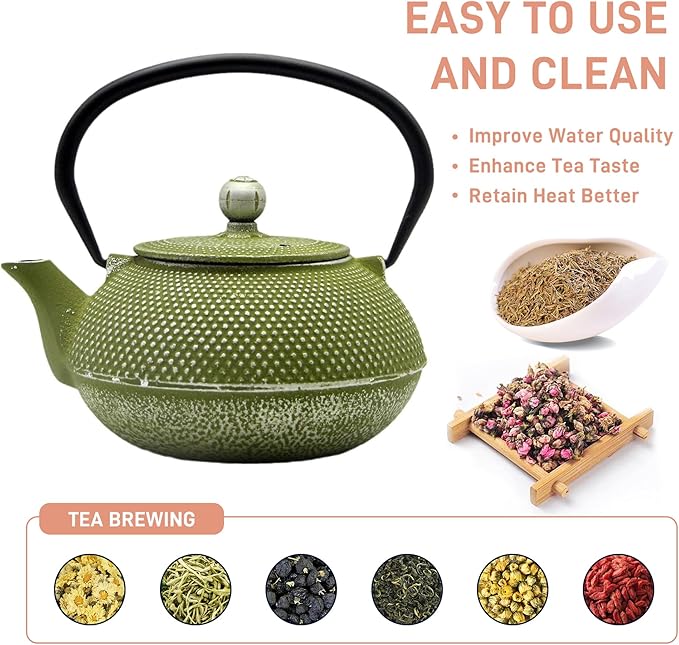 Cast Iron Teapot Tea Kettle with Stainless Steel Infuser for Stovetop Safe Coated with Enameled Interior Japanese Green Tetsubin for Loose Tea(30.4oz/900ml) - Bloomnest