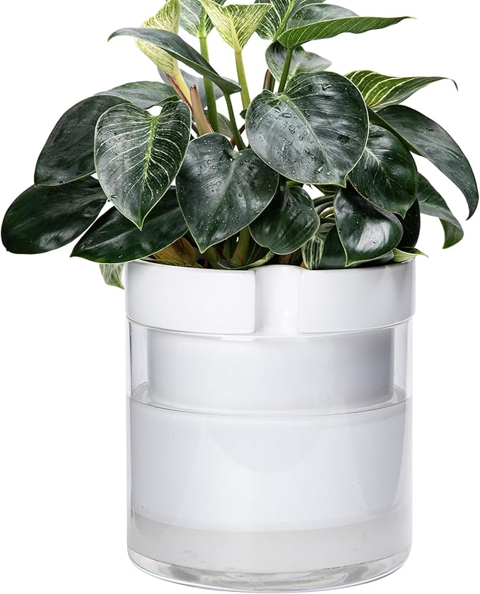 Phoenix Vine 10 Inch Self Watering Planter, White Terracotta Clay Pot with Glass Reservoir for Indoor Plants, Herbs, Flowers, Set of 1, 52-B-I-1 - Bloomnest
