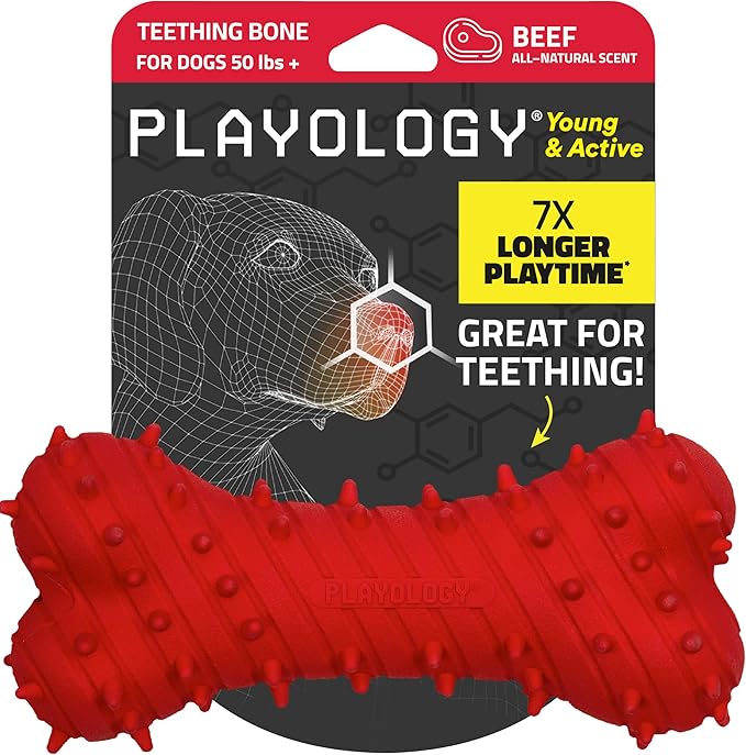 Playology Dog Toys | Puppy Toy Teething Bone Designed for Young & Active Dogs | Jumbo Beef Scented Toy Made from Non Toxic Materials - Bloomnest