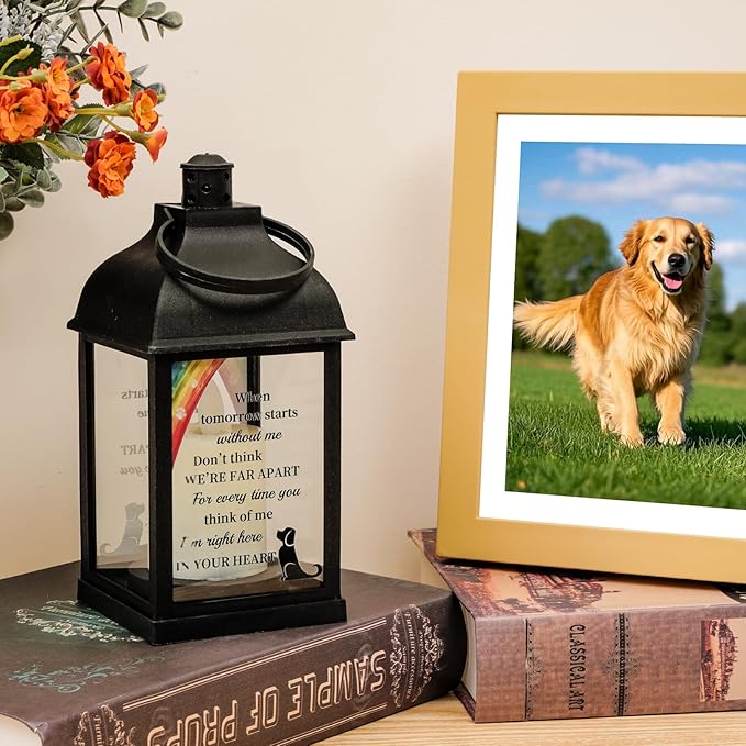 Dog Memorial Gifts with Remote - Sympathy Bereavement Gifts for Loss of Dog, Rainbow Bridge Memorial Lantern for Grieving Pet Owner - Bloomnest