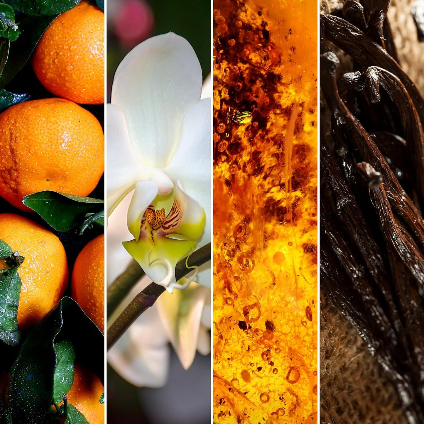 Journeyman Collection Candle, 15oz, Wooden Wick, Vanilla Amber, Large Painted Jar