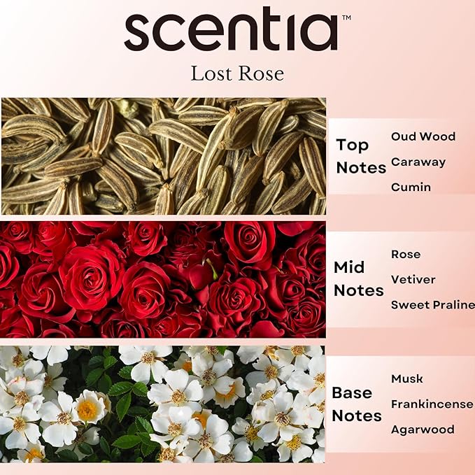 Scentia Hotel Diffuser Oil Inspired by Fairmont Hotel Scent - 20 mL 0.67 fl oz - Fragrance Oil Blend Rose, Oud Wood & Clove Notes for Aromatherapy Diffusers and Humidifiers - Lost Rose - Bloomnest
