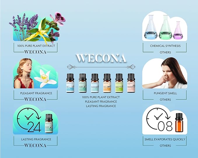 Focus Essential Oil Set – 6x10ml Essential Oils for Diffusers Aromatherapy, Aromatherapy Oil Blends – Huile Essentielle Pour Diffuseur, Fragrance Oils for Candle Making WECONA-NaturalRemedies