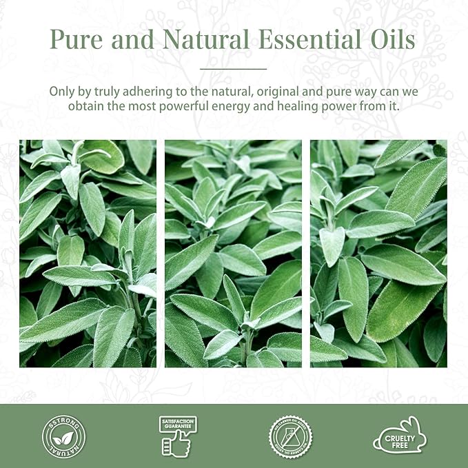 Clary Sage Essential Oil, 1.01Fl.Oz (30ML) PHATOIL Pure Essential Oil Singles for Aromatherapy Diffusers, Humidifiers, Great for DIY Candle and Soap Making, Gift for Friend PHATOIL