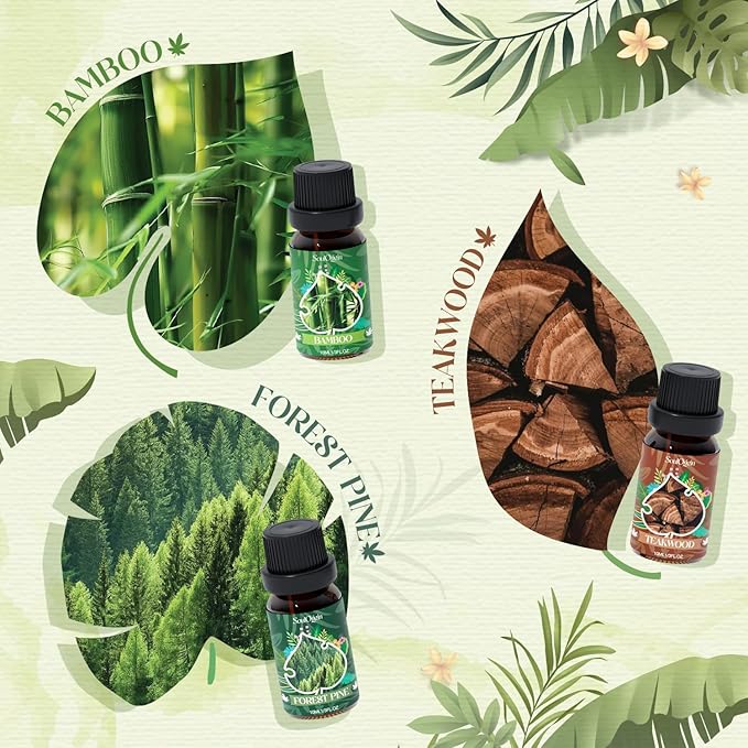Woodland Fragrance Oils Set, Essential Oil Gift Set for Diffuser, Woody Scent Diffuser Oil, Diffuser Scents Oil for Home - Forest Pine, Teak, Bamboo, Fresh Soil, Fallen Leaves, Fresh Air - Bloomnest