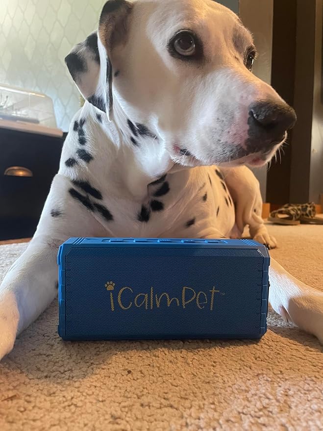 A Calm Variety | iCalmPet Ruff 'n Ready Portable Speaker with 3-hr MicroSD Dog Calming Classical and Reggae Music - Bloomnest