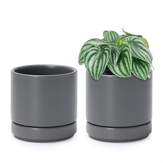 D'vine Dev Set of 2 Plants Pots, 4.7 Inch Ceramic Planter Pot for Plants with Drainage Hole and Saucer, Speckled Grey, 94-V-B-3 - Bloomnest