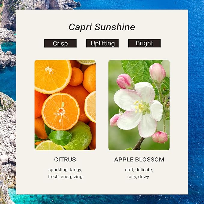JCLOUD Capri Sunshine Hotel Diffuser Oil - Inspired by Italian 5 Star Resort - Orange, Apple Blossom & Amber - Hotel Essential Oil Luxury Long Lasting Aromatherapy Fragrance in Glass Bottle, 100mL JCLOUD