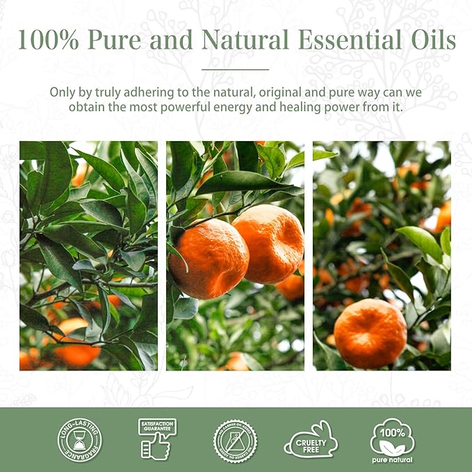 Tangerine 1.01fl.oz Essential Oil, PHATOIL Pure Aromatherapy Oils for Diffuser, Humidifier, Perfect for DIY Soap, Candle, Bath Bombs Making(30ml) - Bloomnest
