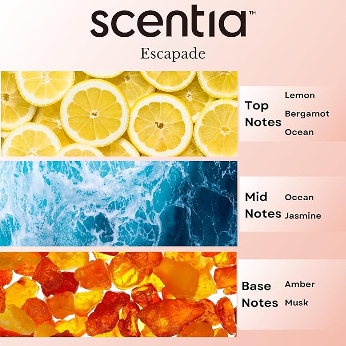 Scentia Hotel Diffuser Oil Inspired by 5-Star Hotel Scent - 20 mL 0.67 fl oz - Aromatherapy Fragrance Oil Inspired by 5 Star Hotel - Escapade - Bloomnest