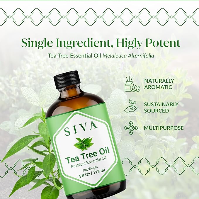 Siva Tea Tree Essential Oil - 4 Fl Oz – 100% Natural Tea Tree Oil - for Diffuser, Face, Skin Care, Aromatherapy, Hair Care, Scalp and Body Massage - with Dropper - Bloomnest