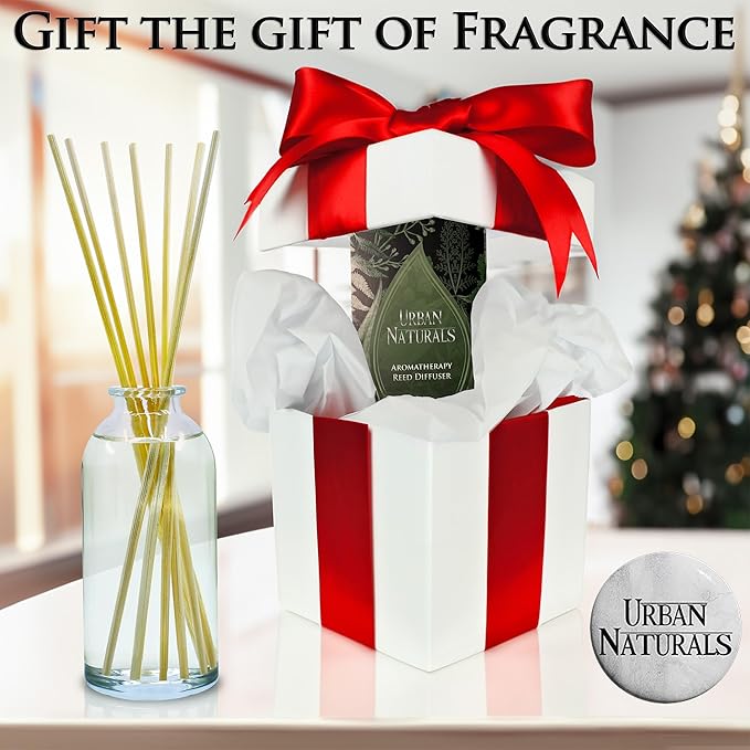 Urban Naturals Vanilla Bean Scented Oil Reed Diffuser Gift Set | Vanilla Cream, Amber & Sweet Tonka Bean | Made in The USA