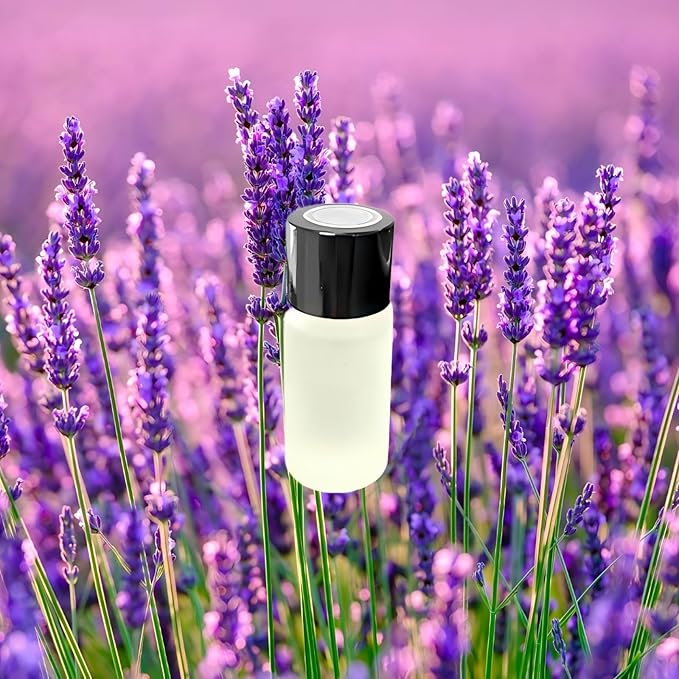 Car Air Freshener Refills – Set of 5 (10 ml each), Universal Fit for Air Vent Smart Car Fresheners, Refreshing and Pleasant Scent (Lavender) - Bloomnest