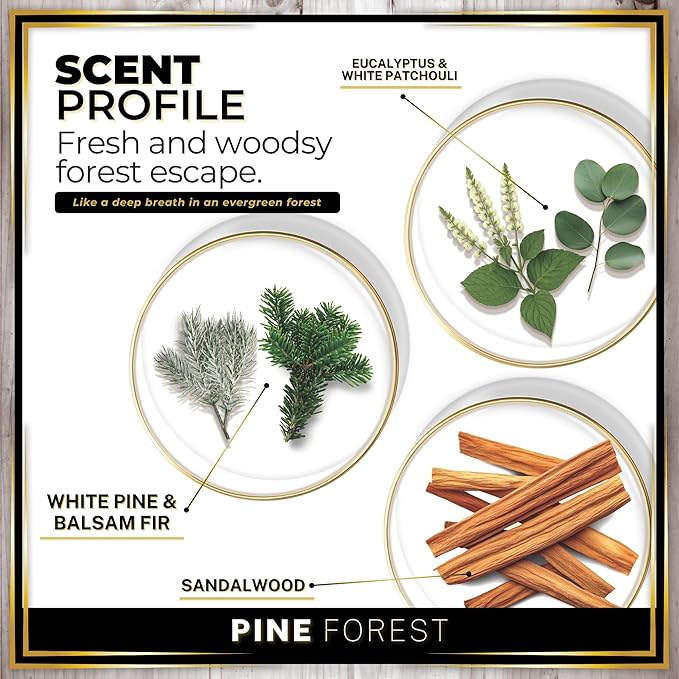 Urban Naturals Car Air Freshener Pine Forest Scent Diffuser, Long Lasting Car Fresheners Made in USA, Odor Eliminating Technology, Hanging Auto Accessories + Vent Clip (1 Pack) - Bloomnest
