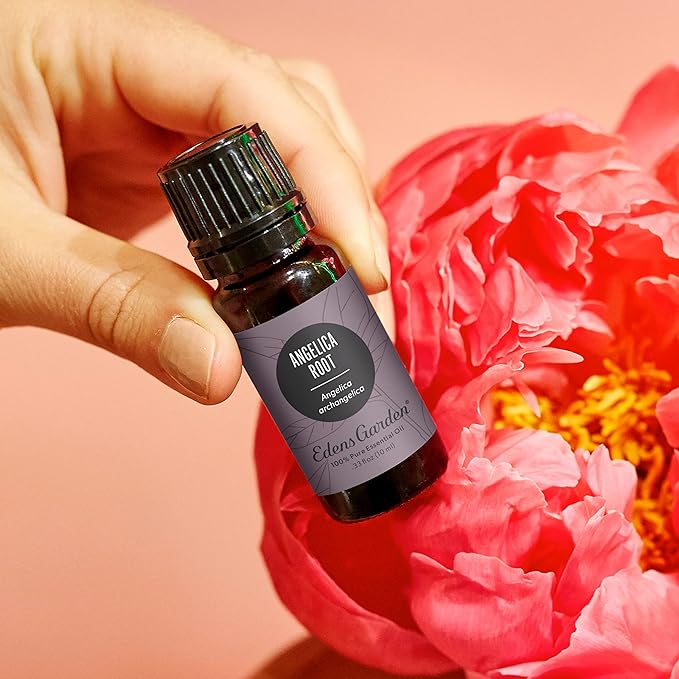 Edens Garden Angelica Root Essential Oil- 100% Pure Premium Grade, Undiluted, Natural, Therapeutic, Aromatherapy, The Best for Diffuser, Candle, Laundry, Kid Safe 10 ml (.33 fl oz) - Bloomnest