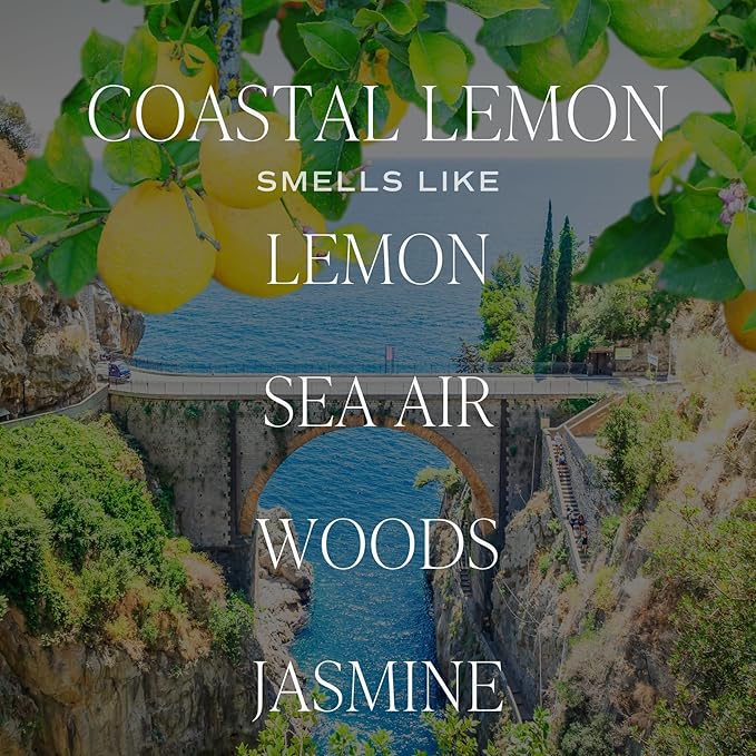 Sweet Water Decor Coastal Lemon Clear Reed Diffuser – Room Decor Aesthetic with Long-Lasting Premium Fragrance of Lemon, Sea Salt, Jasmine & Driftwood for 4 Months – Ideal for Home Décor - Bloomnest