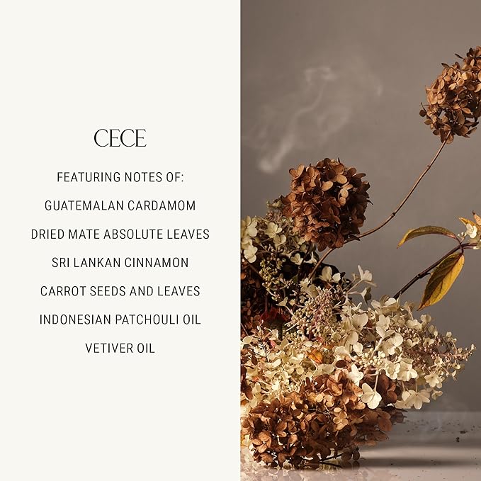 Homecourt Luxury Scented Candle, Cece Scent, 60-Hour Burn Time, Soy Wax Blend, Organic Cotton Wick, Kiln-Fired Reusable Ceramic Vessel, 8 Oz, 2.0 - Bloomnest
