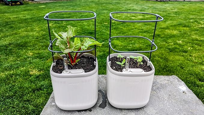 Vego garden Mini Planter Indoor Pots with Trellis Self-Watering Herb Countertop Planter for Climbing Vegetables Flowers Mint Plants Cage- Cream White - Bloomnest