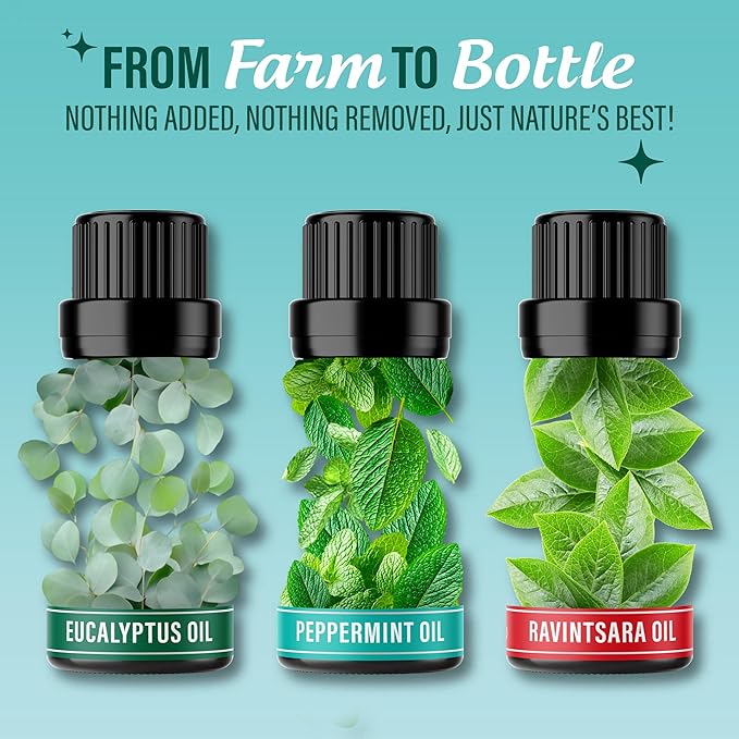 GuruNanda Breathe Essential Oil Set (Pack of 3 x 0.34 Fl Oz) - 100% Pure, Natural & Undiluted Diffuser Oils for Aromatherapy - Helps Support Clear Breathing - Suitable for Massages & DIY Recipes - Bloomnest