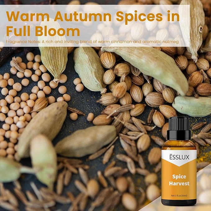 Spice Harvest Fragrance Oil, ESSLUX Aromatherapy Essential Scented Oils for Home for Diffuser, Massage, Soap, Candle Making Scents, Perfume, Humidifier, 30 ml - Bloomnest