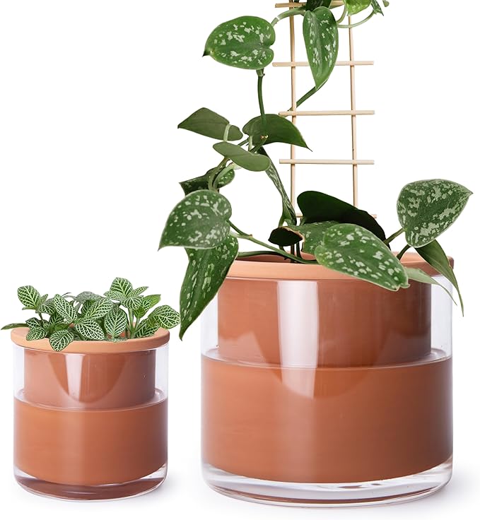 Phoenix Vine 4 Inch 6 Inch Self Watering Plants Pots, Design Terracotta Pots for Plants, Indoor Cylinder Terra Cotta Planter with Glass Vase Set, 51-A-G-46 - Bloomnest