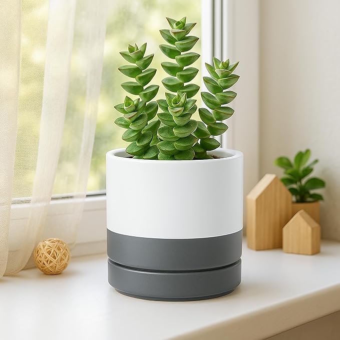 D'vine Dev 3.5 Inch & 4.7 Inch Ceramic Planter Pots for Plants with Drainage Hole and Saucer, X-Small Plant Pots Set, White/Speckled Grey, 94-G-XS-6 - Bloomnest