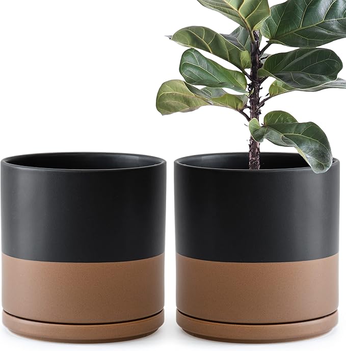 D'vine Dev Set of 2 Plants Pot, 10 Inch Ceramic Planter Pot for Plants with Drainage Hole and Saucer, Black/Speckled Tan, 94-V-E-7 - Bloomnest