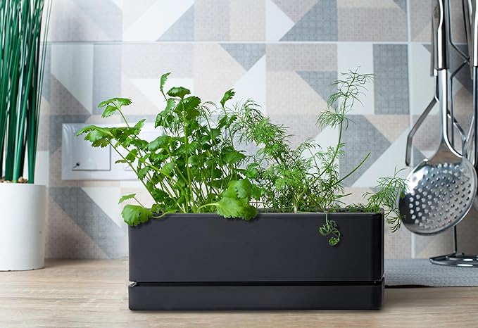 D'vine Dev 12 Inch Window Box Planter, Rectangle Plastic Herb Planter with Drainage Holes and Saucer, Indoor Succulent Cactus Vegetable Pot for Windowsill, Garden Balcony, Black, Set of 2, 76-X-B-2 - Bloomnest