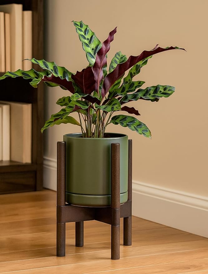 D'vine Dev Ceramic Planter with Walnut Color Stand - 8 Inch Modern Round Flower Pot with Wood Planter Holder, Olive, 55-B-Y-J - Bloomnest