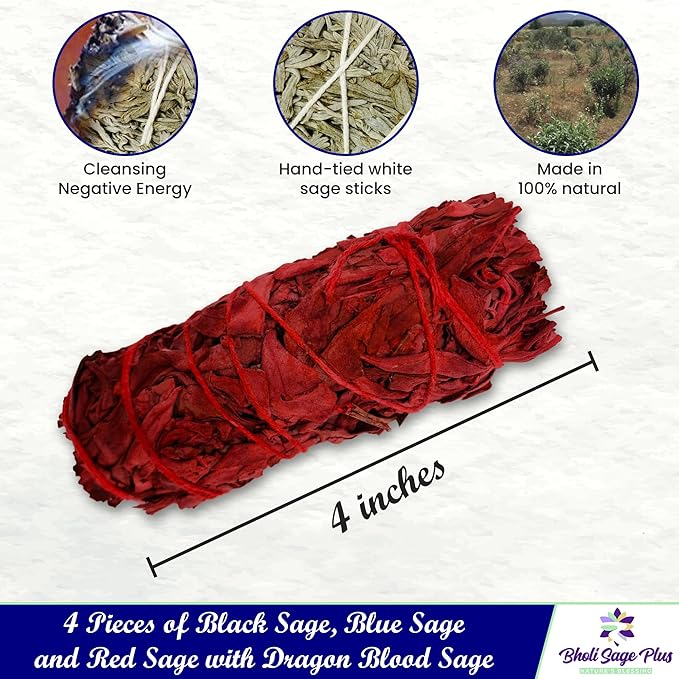 Sage Starter Kit for Cleansing Negative Energy. Variety Pack of 4 which Includes White, Black, Blue and Red Sage (Dragon Blood) - Bloomnest