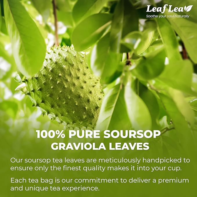 LeafLea 160 Premium Soursop Tea Bags, Natural & Pure Sour sop Graviola Tea Leave, Hoja Guanabana Leaf Herbal Tea Bags Variety Pack of 4, Digestive Support, Nutrient-Rich, Vegan, Sugar/Caffeine Free - Bloomnest