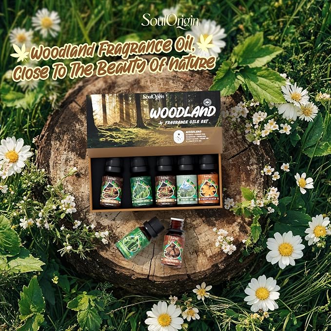 Woodland Fragrance Oils Set, Essential Oil Gift Set for Diffuser, Woody Scent Diffuser Oil, Diffuser Scents Oil for Home - Forest Pine, Teak, Bamboo, Fresh Soil, Fallen Leaves, Fresh Air - Bloomnest