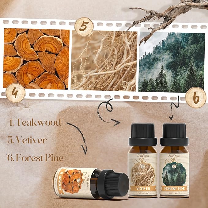 Woody Essential Oils Set, Fragrance Oil Set for Diffuser, Scent Diffuser Oil for Candle Making- Sandalwood, Cedar, Bamboo, Teak, Vetiver, Forest Pine - Bloomnest