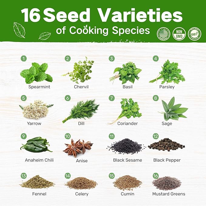 Lush&Dew Culinary Herbs Kitchen Garden Heirloom Seed Bank, Gardening Gifts, 16 Varieties Non-GMO Seeds for Planting Herb in Raised Garden Beds Windowsill, Survival Seed Kit, Cooking Spices Basil Dill - Bloomnest